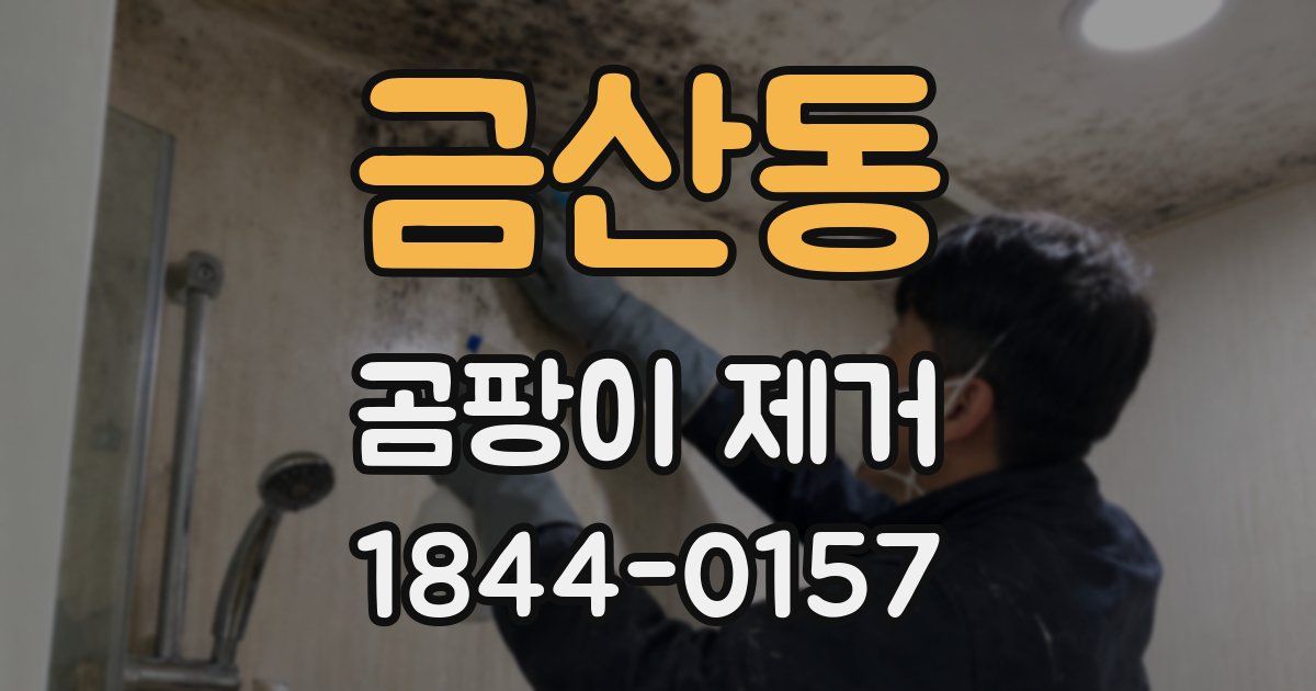 금산동 곰팡이 제거