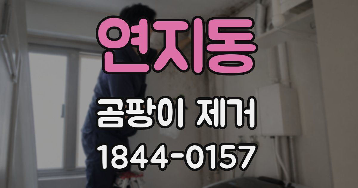 연지동 곰팡이 제거