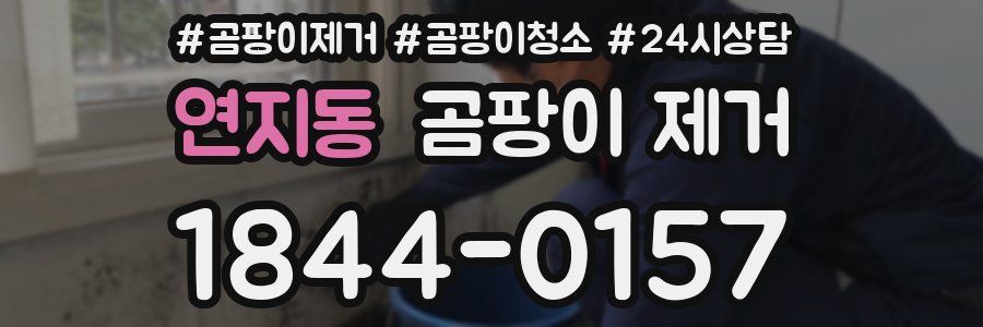 연지동 곰팡이 제거