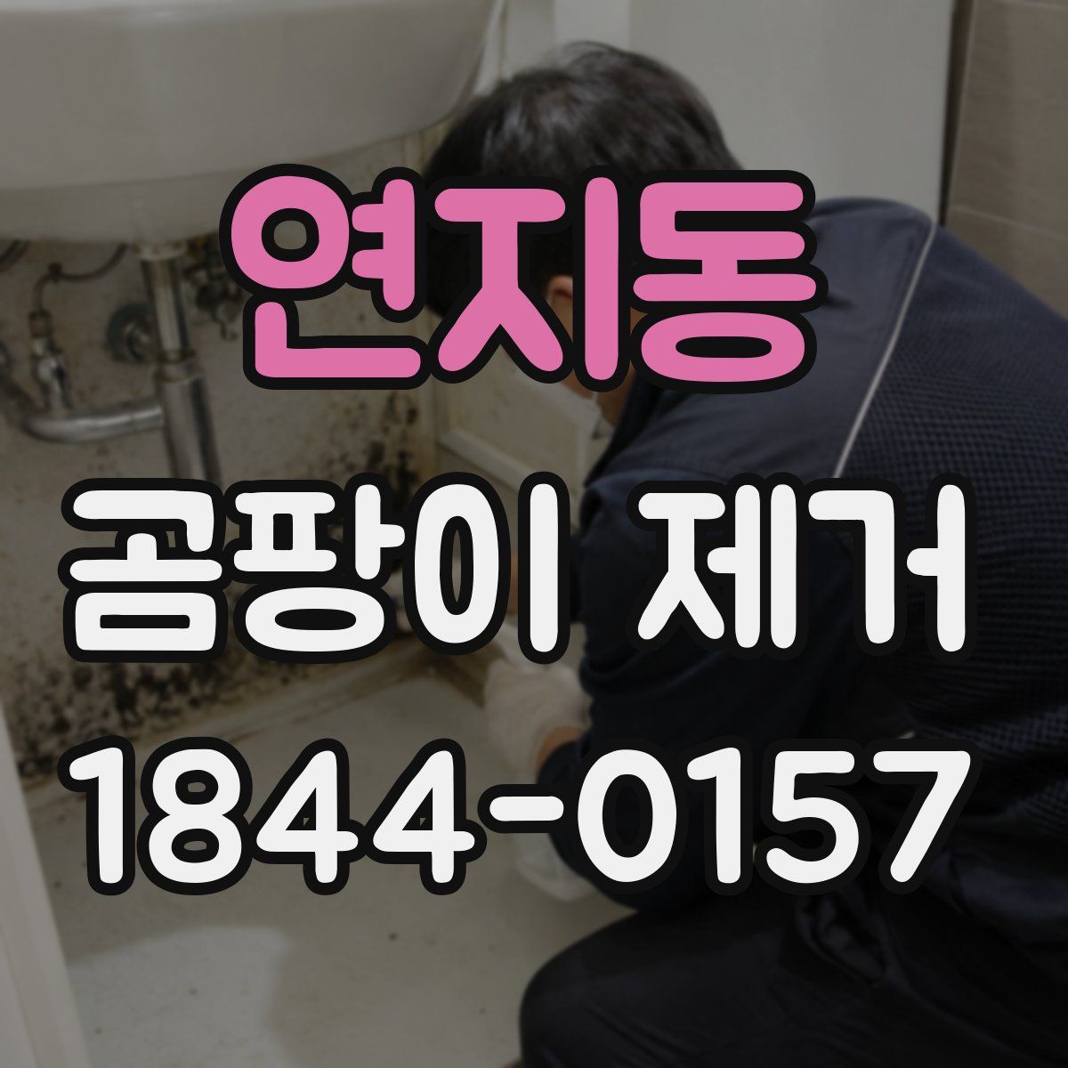 연지동 곰팡이 제거