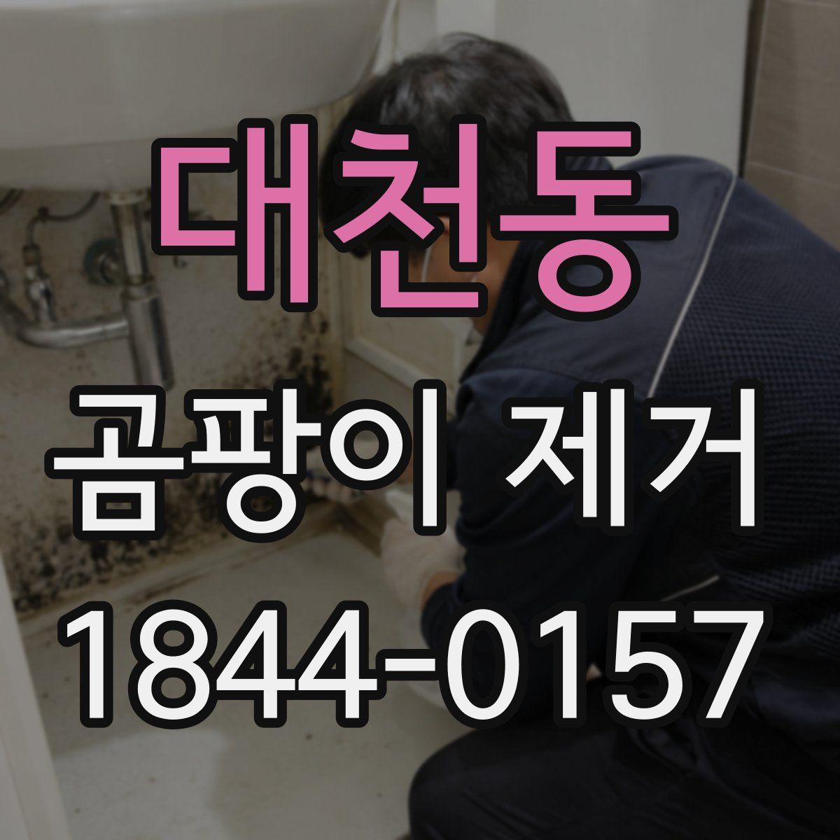 대천동 곰팡이 제거