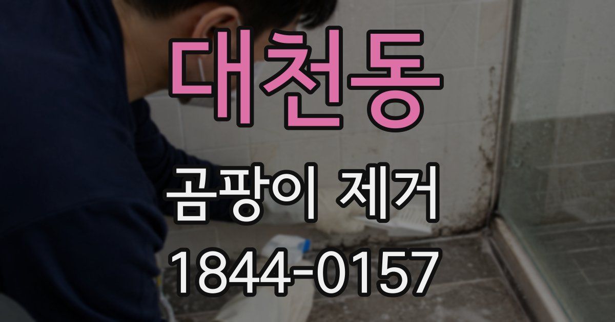 대천동 곰팡이 제거