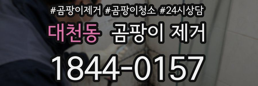대천동 곰팡이 제거