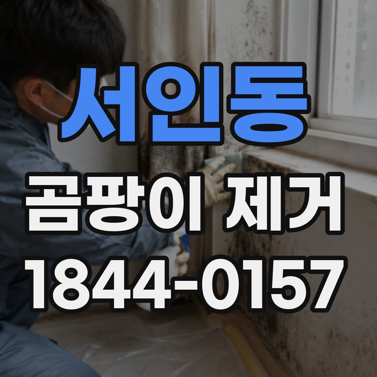 서인동 곰팡이 제거