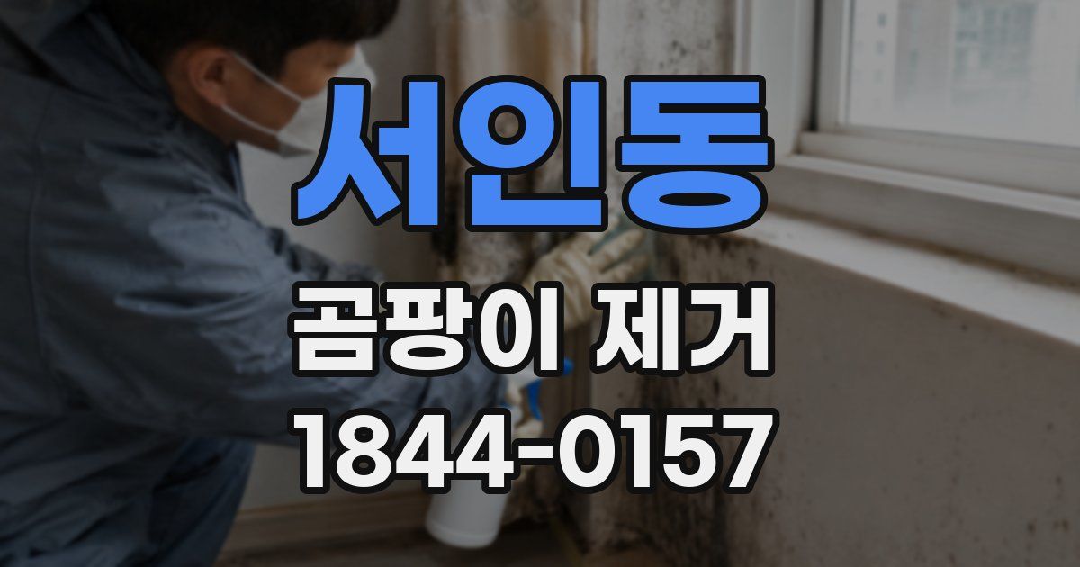 서인동 곰팡이 제거