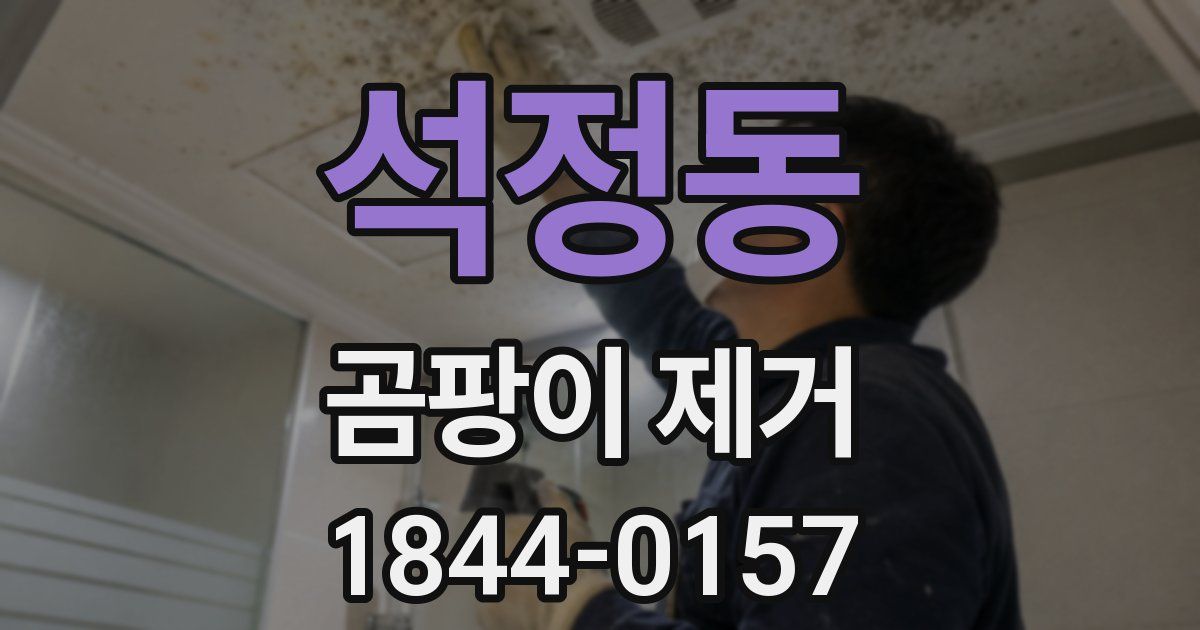 석정동 곰팡이 제거