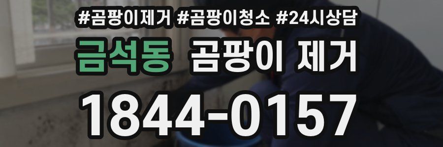 금석동 곰팡이 제거