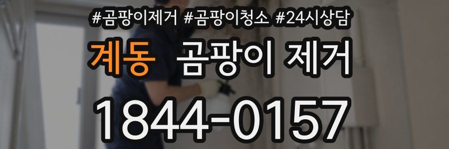 계동 곰팡이 제거