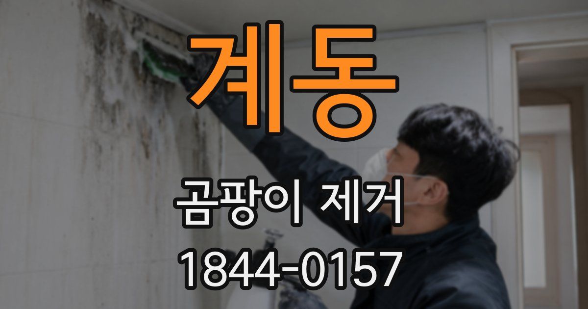 계동 곰팡이 제거