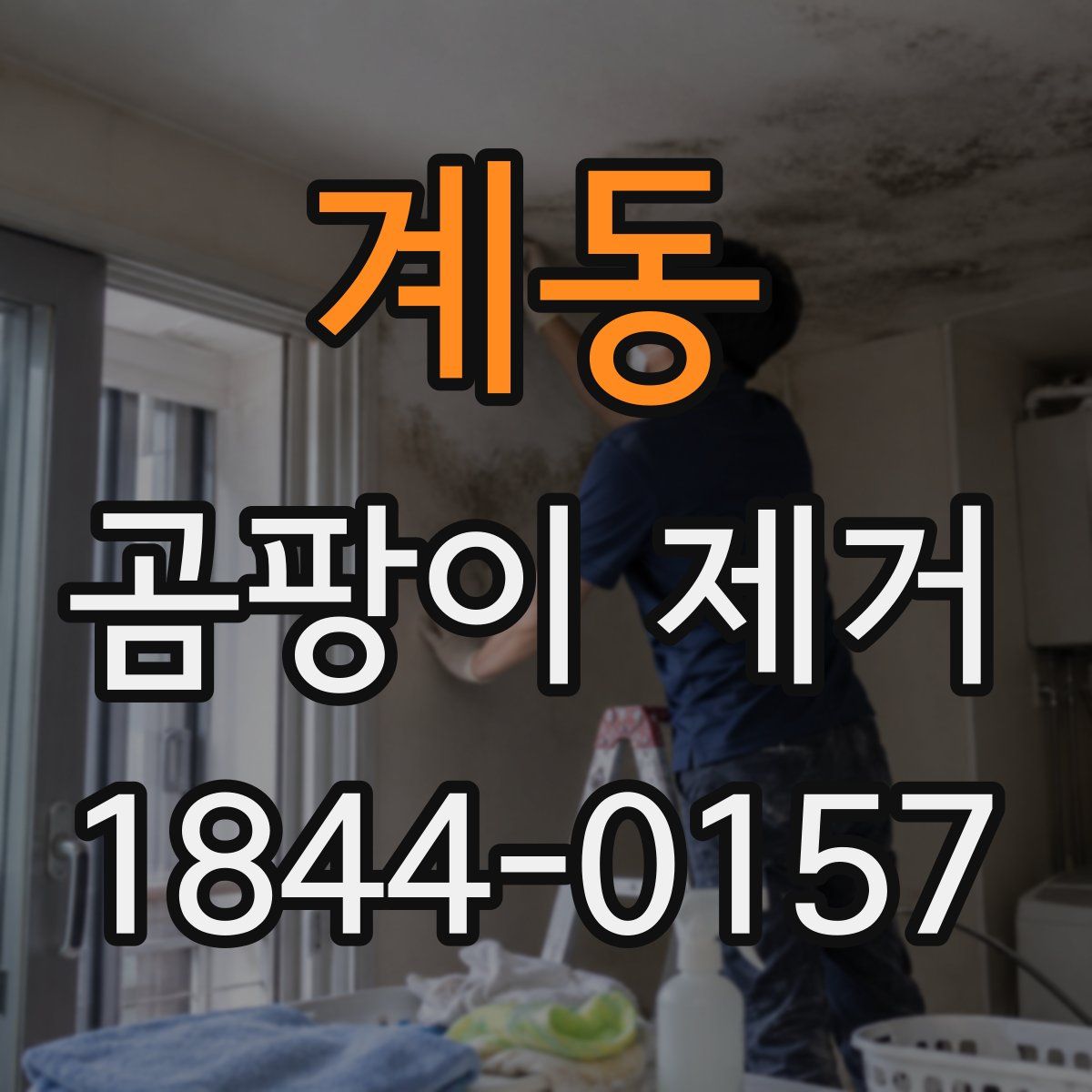 계동 곰팡이 제거