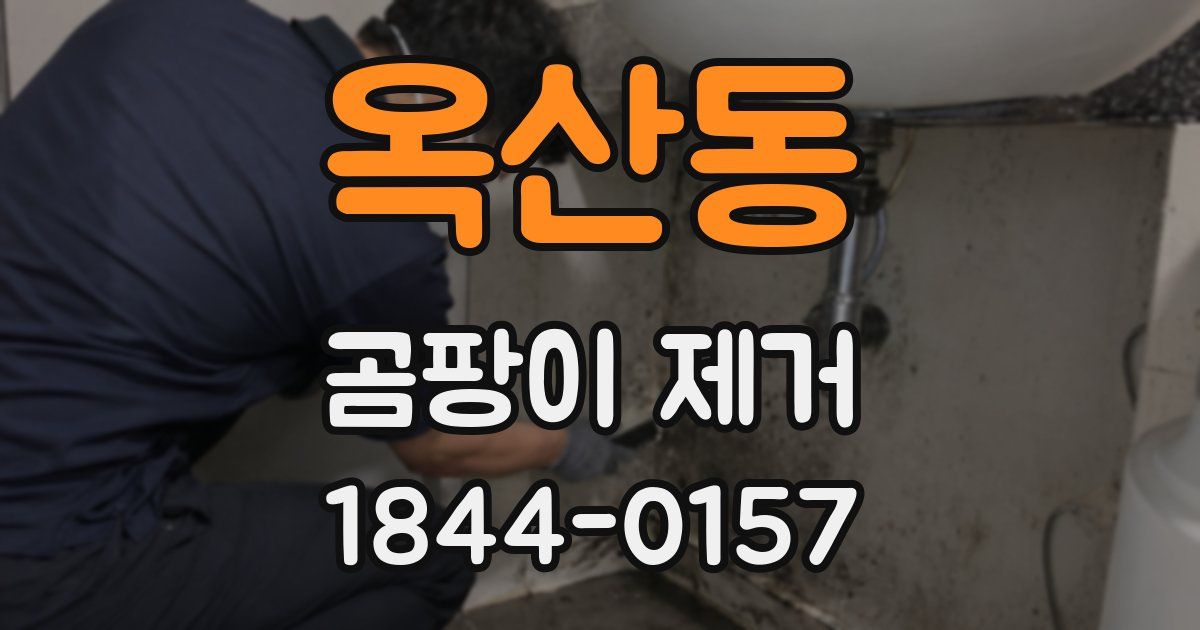 옥산동 곰팡이 제거