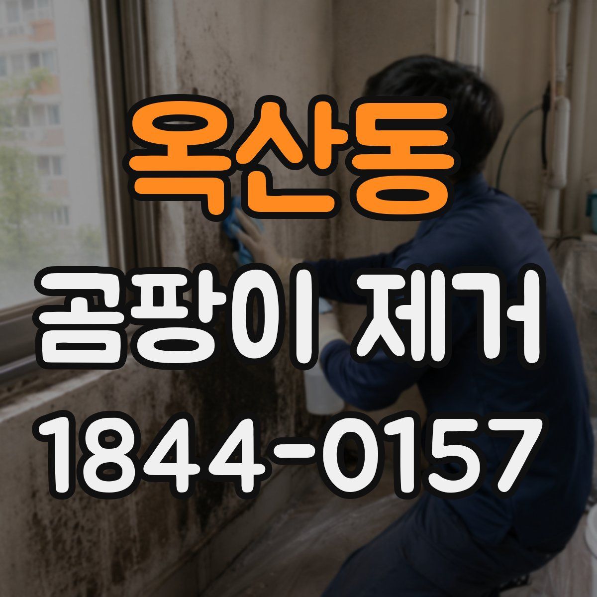 옥산동 곰팡이 제거