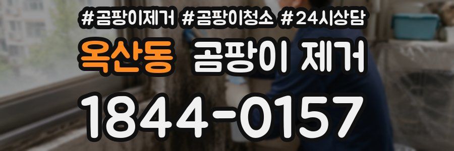 옥산동 곰팡이 제거