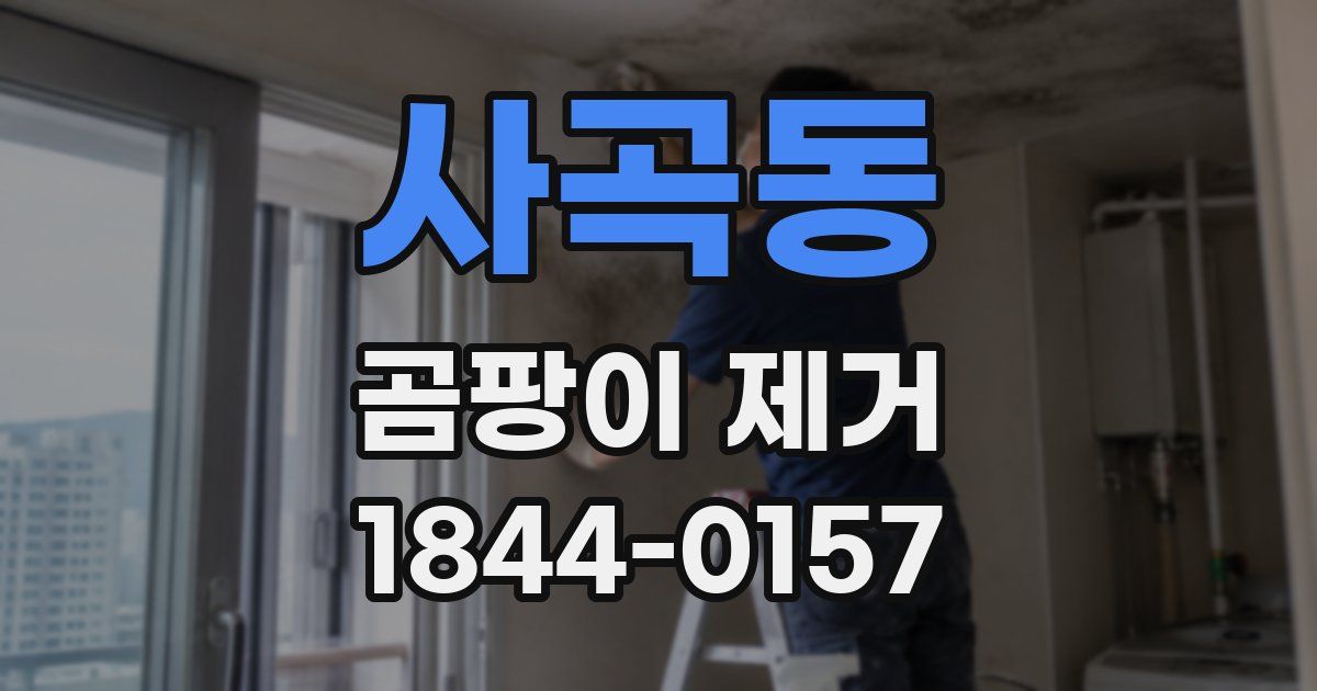 사곡동 곰팡이 제거