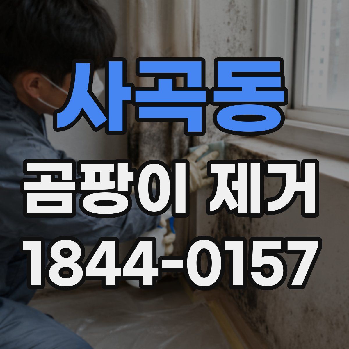 사곡동 곰팡이 제거