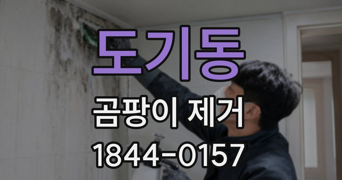 도기동 곰팡이 제거
