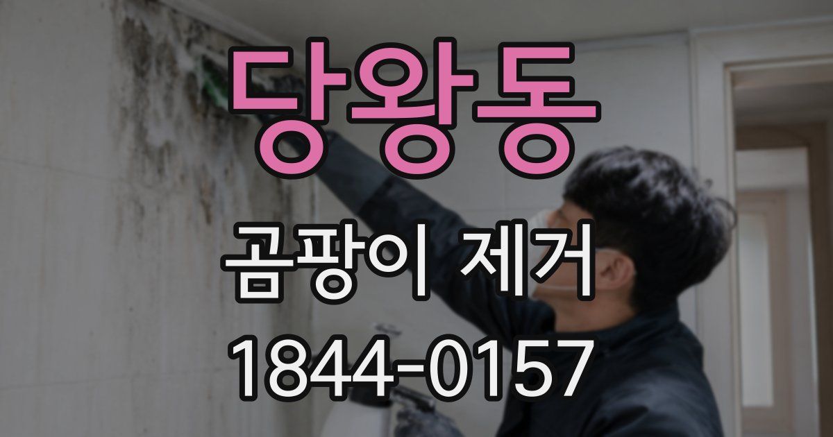 당왕동 곰팡이 제거