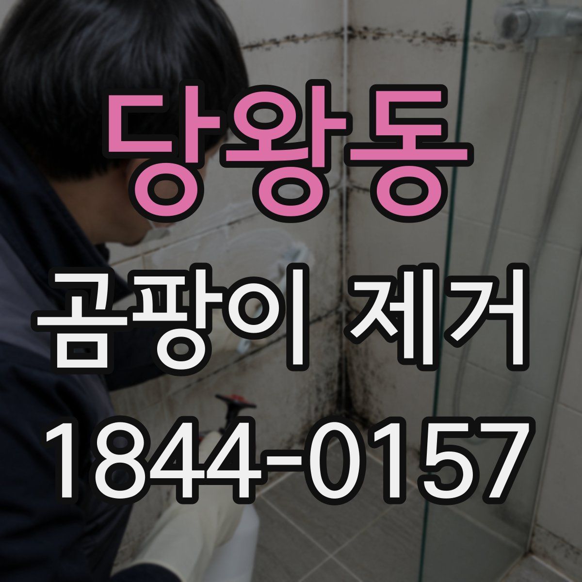 당왕동 곰팡이 제거