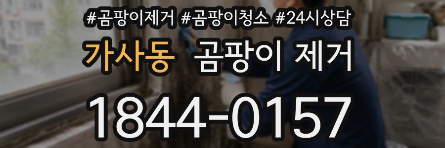 가사동 곰팡이 제거