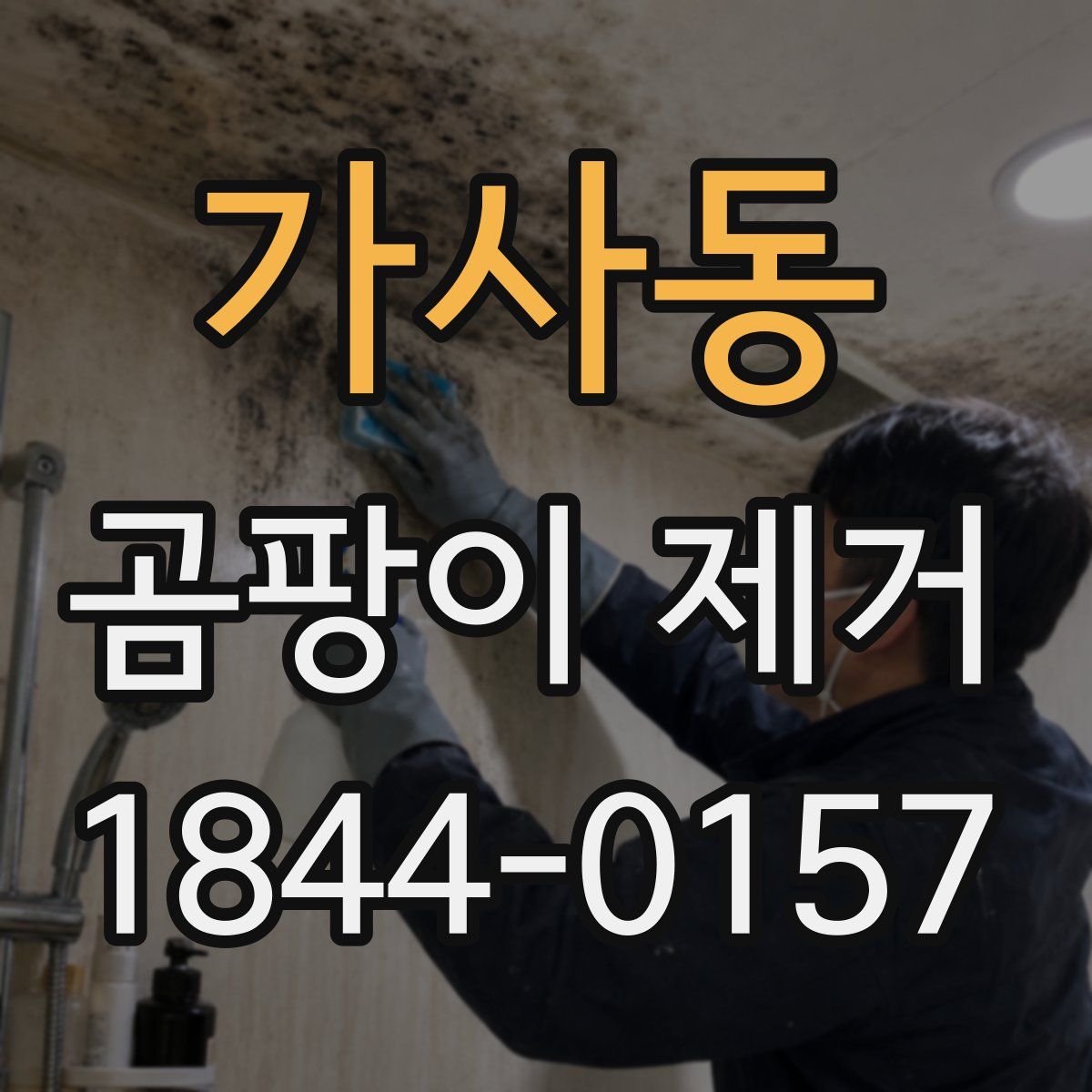 가사동 곰팡이 제거
