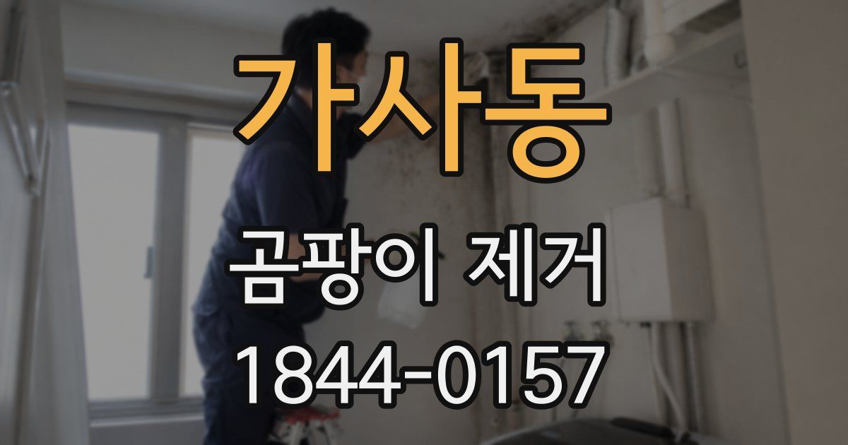 가사동 곰팡이 제거