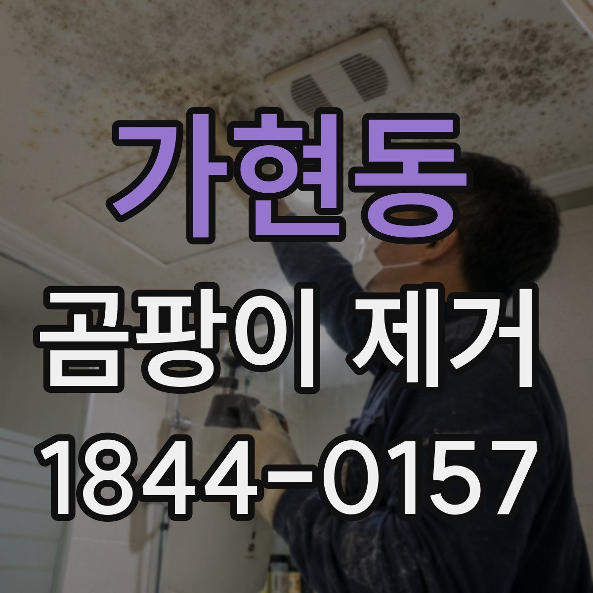 가현동 곰팡이 제거