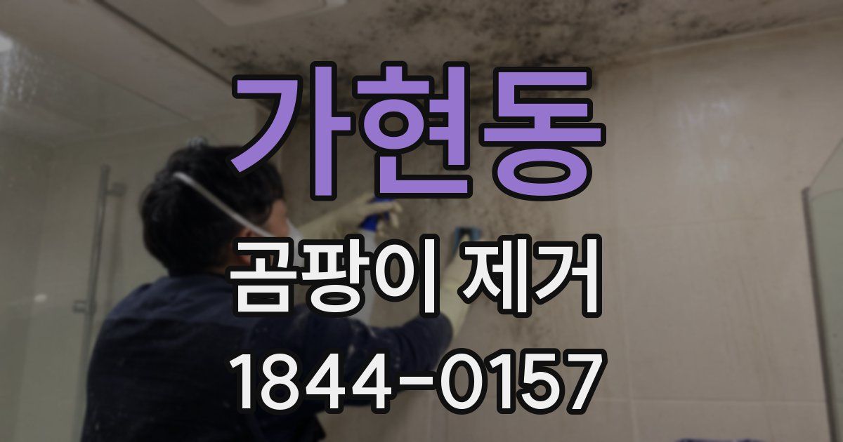 가현동 곰팡이 제거