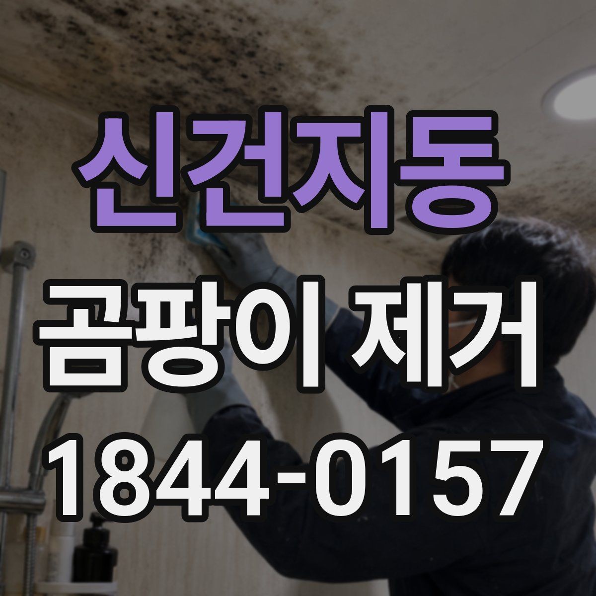 신건지동 곰팡이 제거 마감재별로 달라지는 안전한 처리 방법