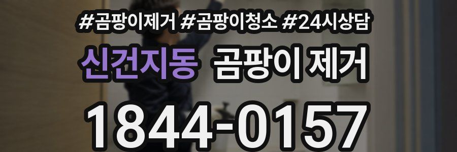 신건지동 곰팡이 제거