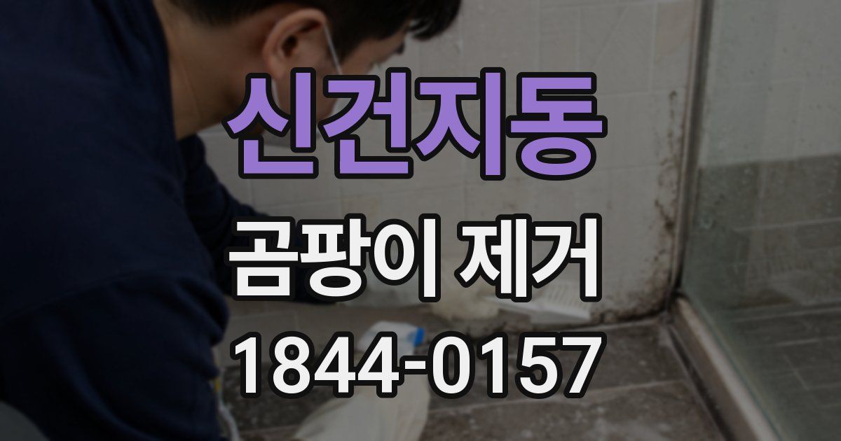 신건지동 곰팡이 제거