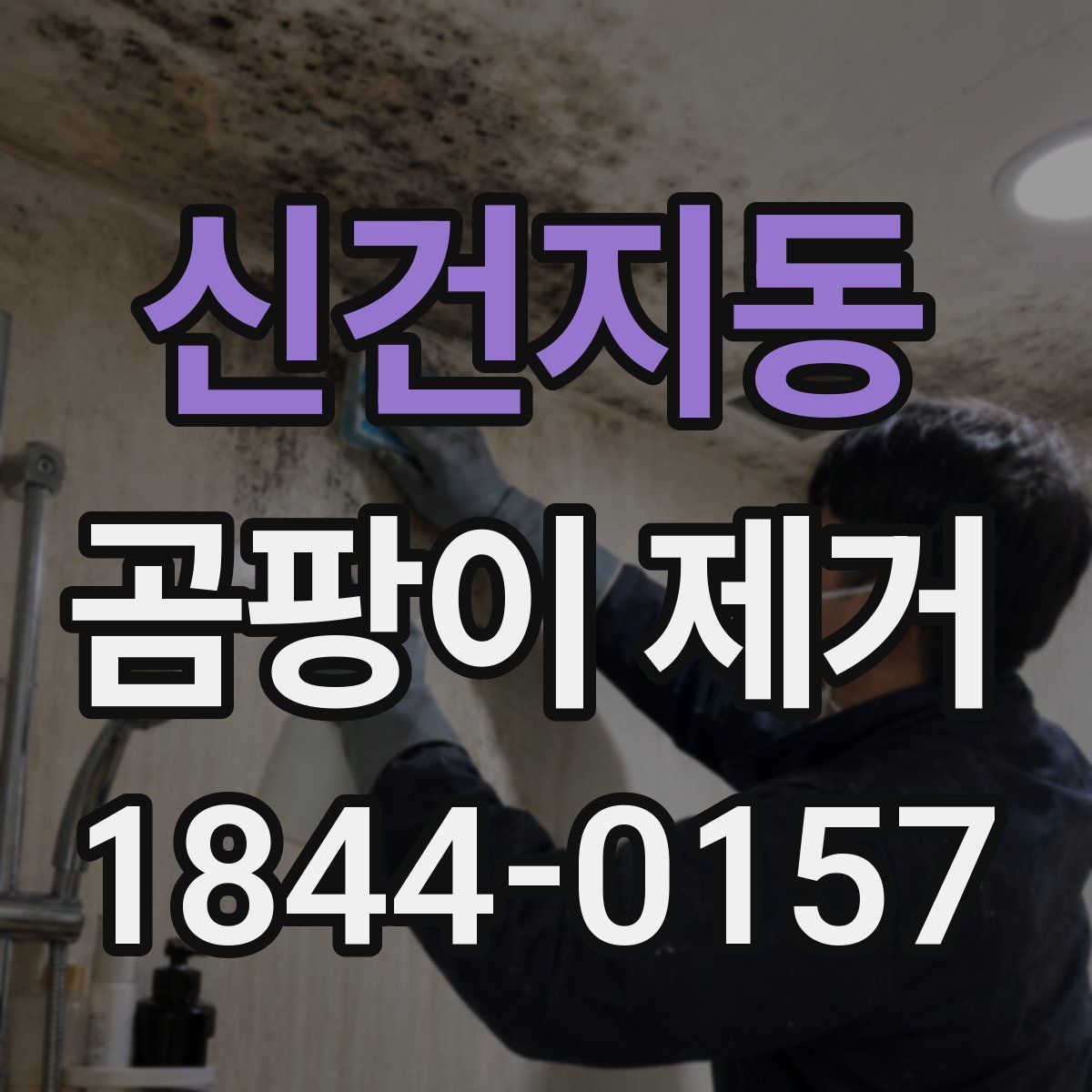 신건지동 곰팡이 제거