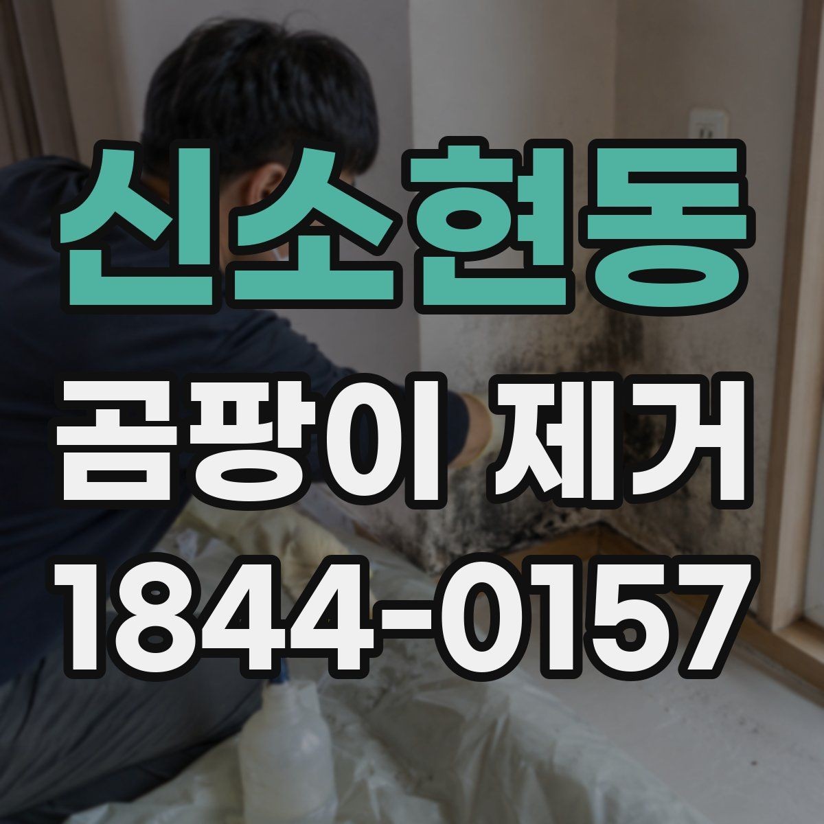 신소현동 곰팡이 제거 결로 자국이 남는 창가 관리법