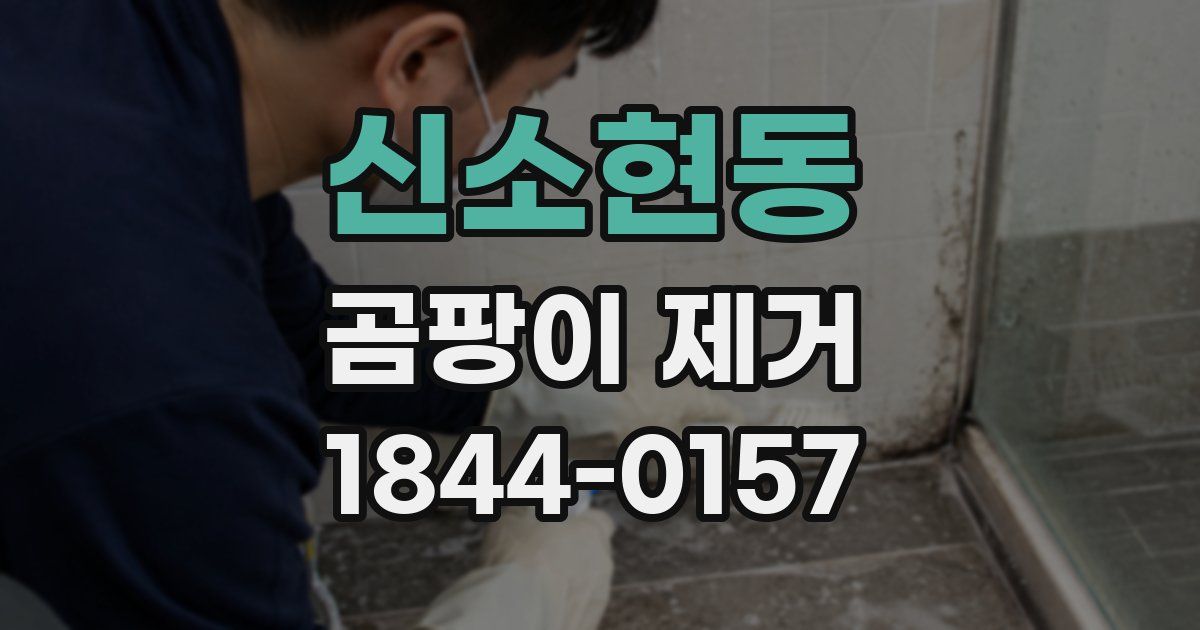 신소현동 곰팡이 제거