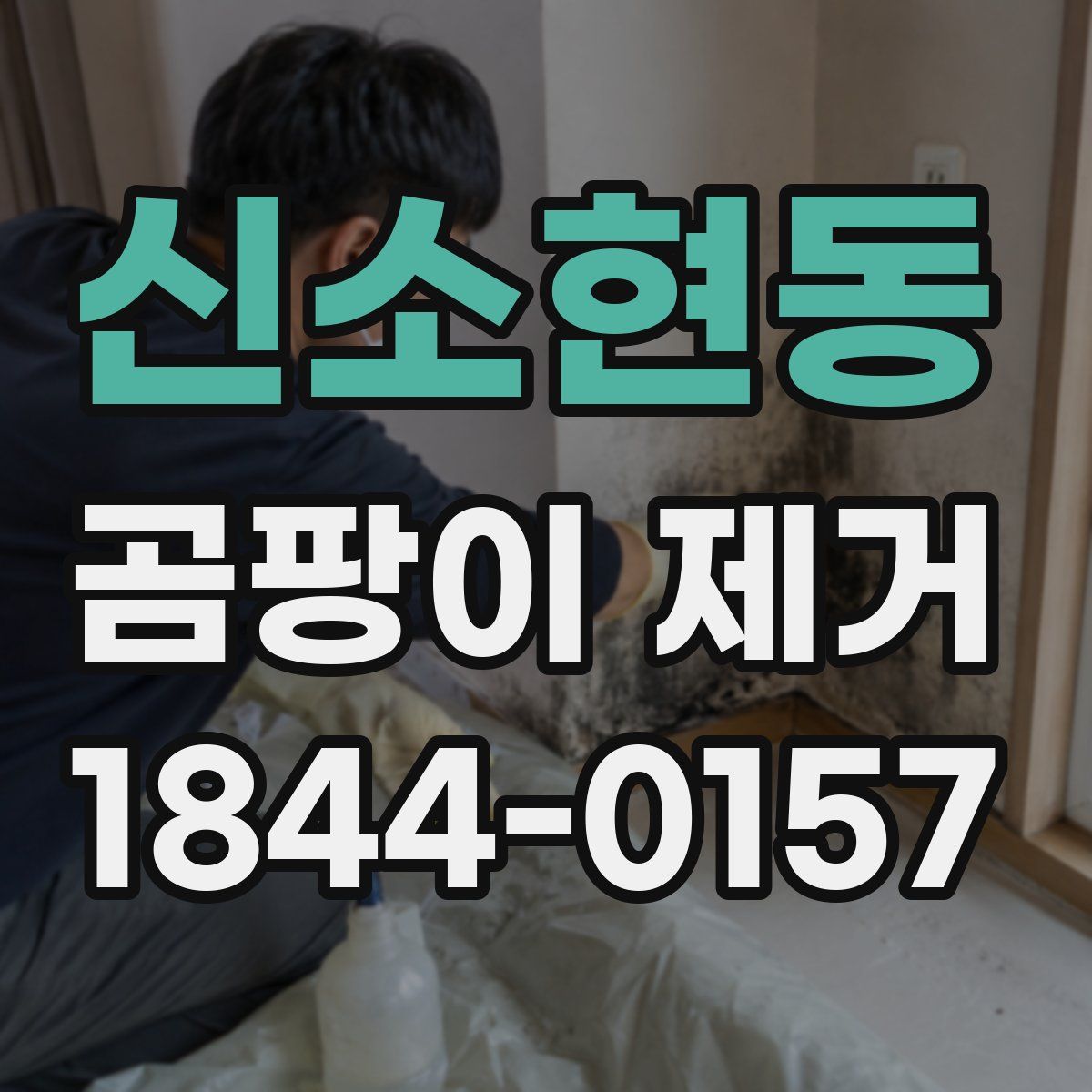 신소현동 곰팡이 제거