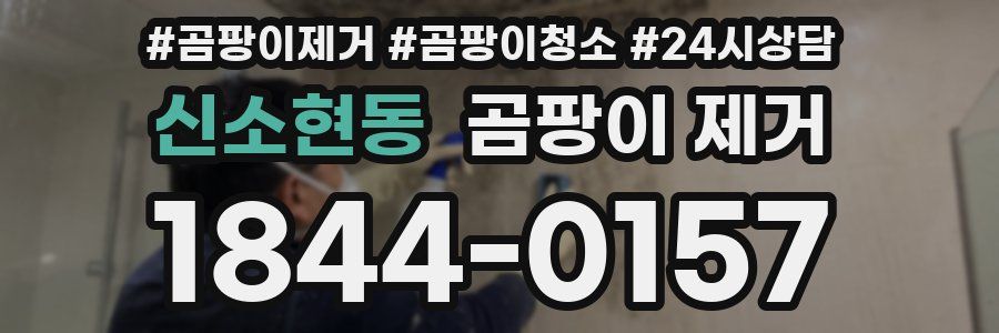 신소현동 곰팡이 제거