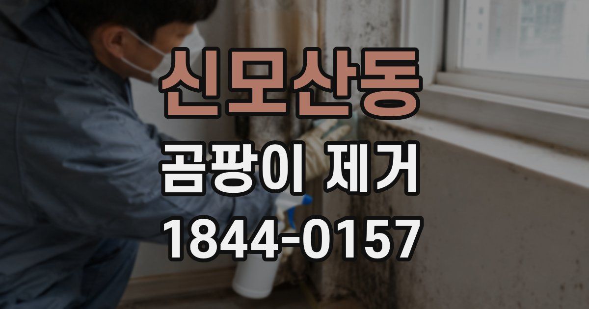신모산동 곰팡이 제거