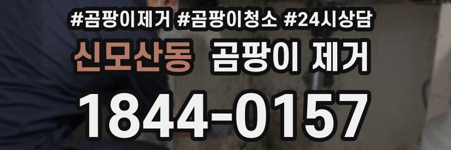 신모산동 곰팡이 제거
