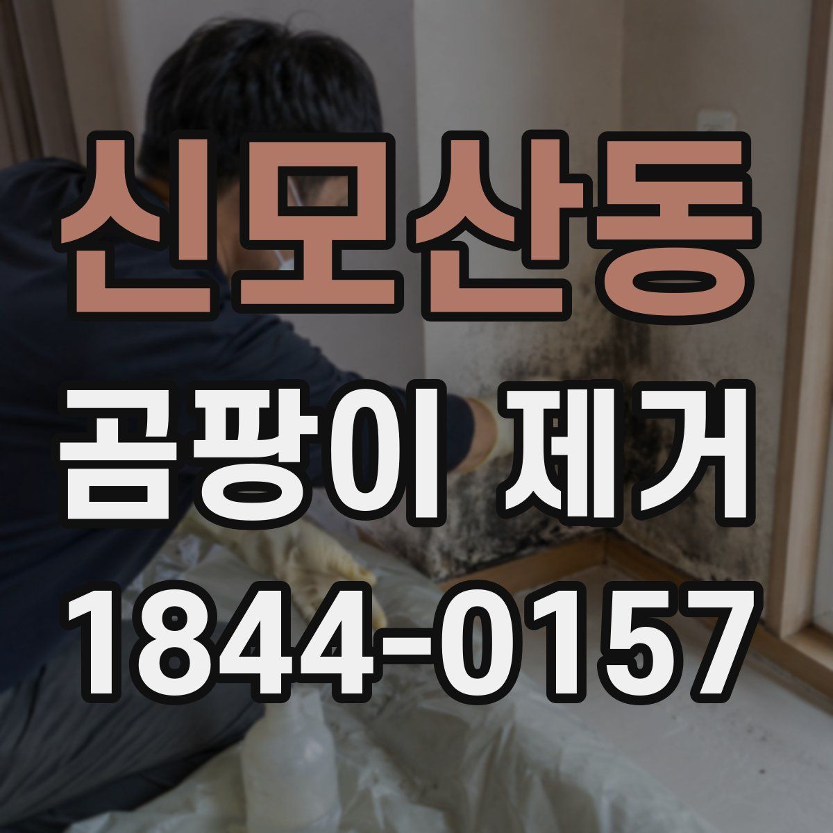 신모산동 곰팡이 제거
