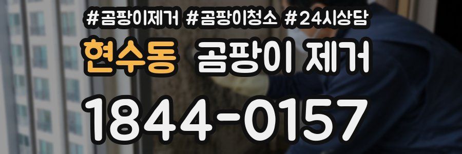 현수동 곰팡이 제거