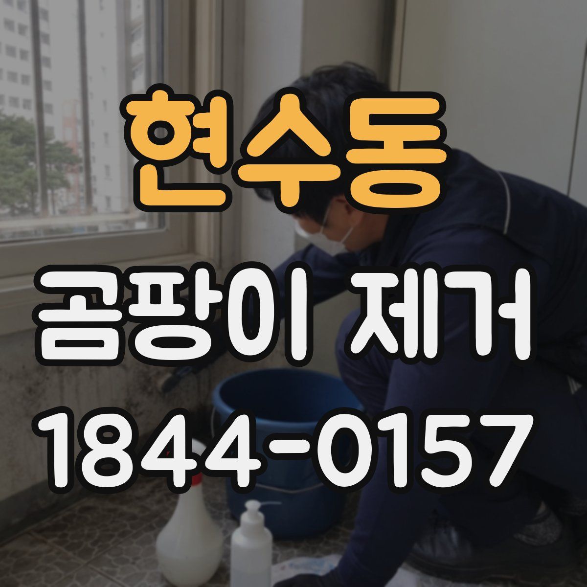 현수동 곰팡이 제거