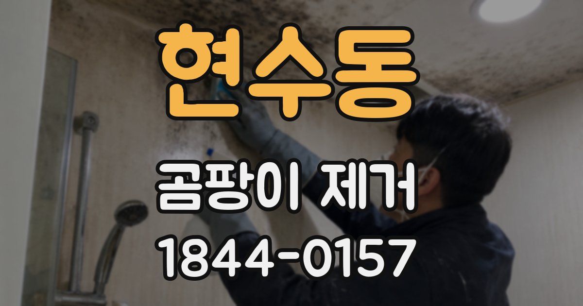현수동 곰팡이 제거