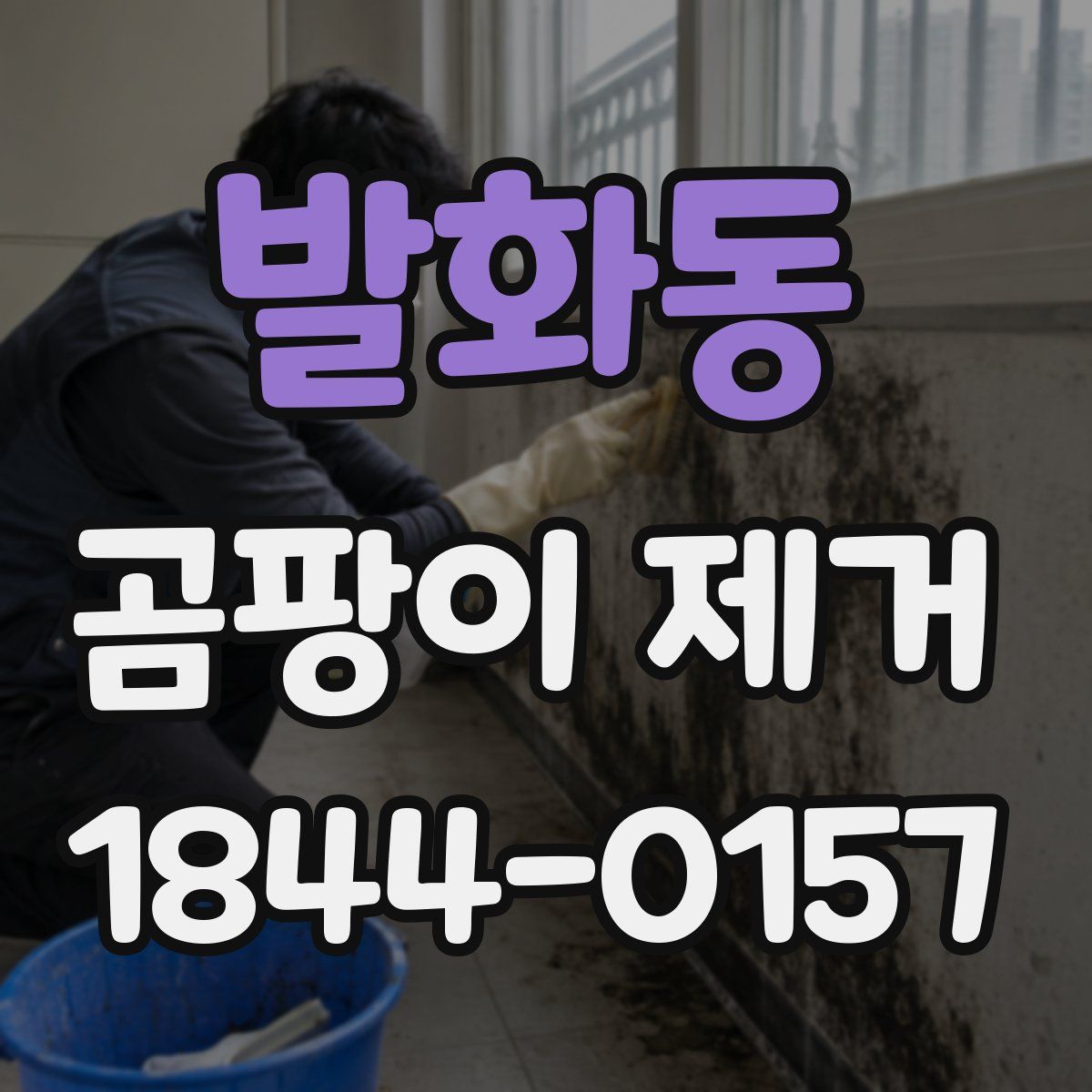 발화동 곰팡이 제거