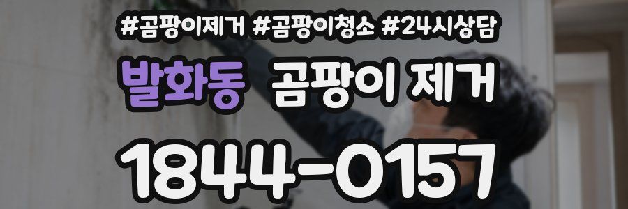 발화동 곰팡이 제거
