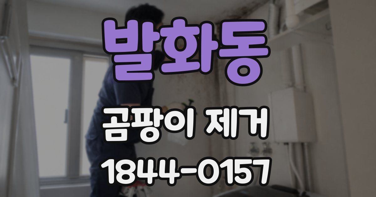 발화동 곰팡이 제거