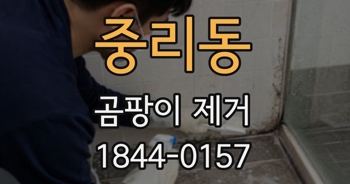 중리동 곰팡이 제거