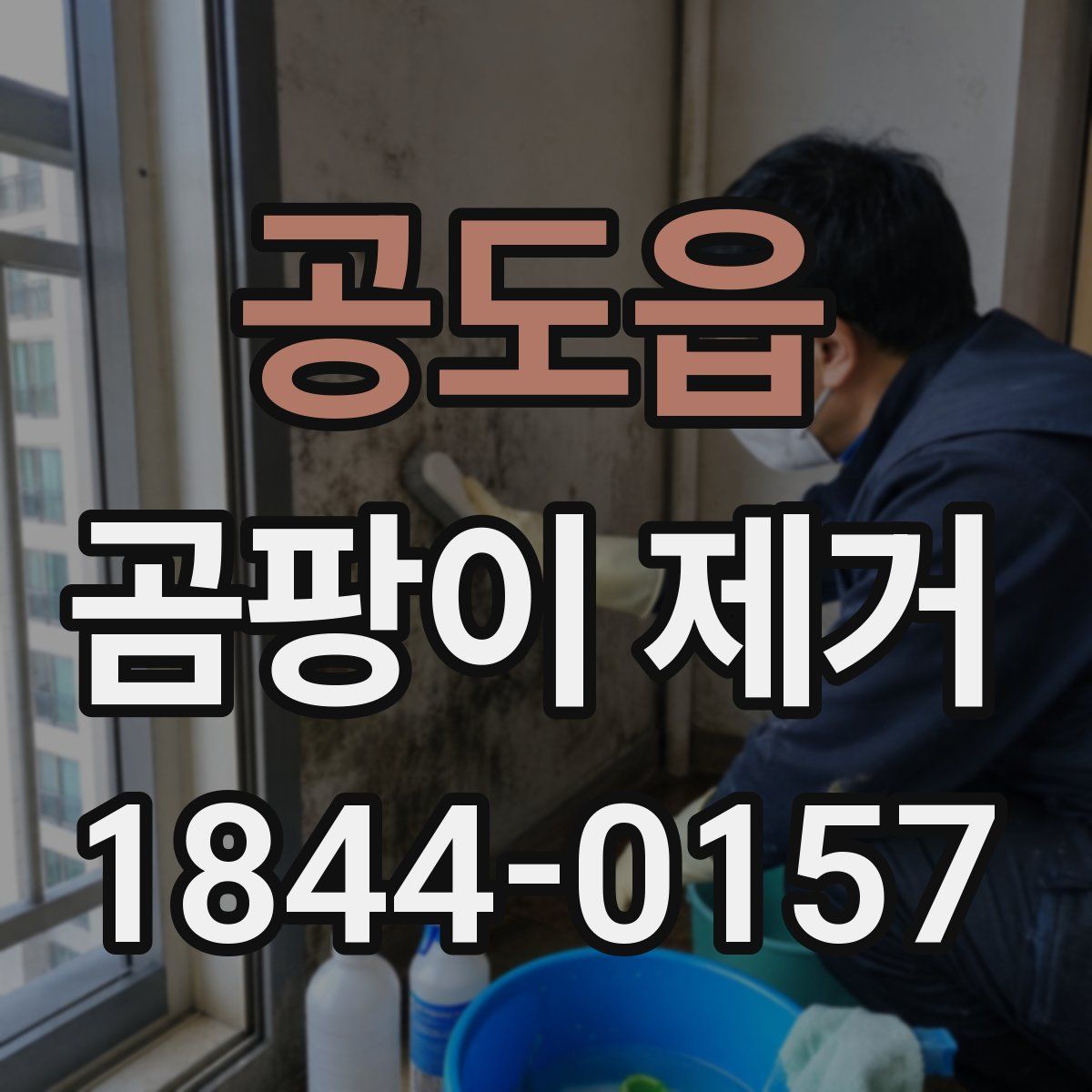 공도읍 곰팡이 제거