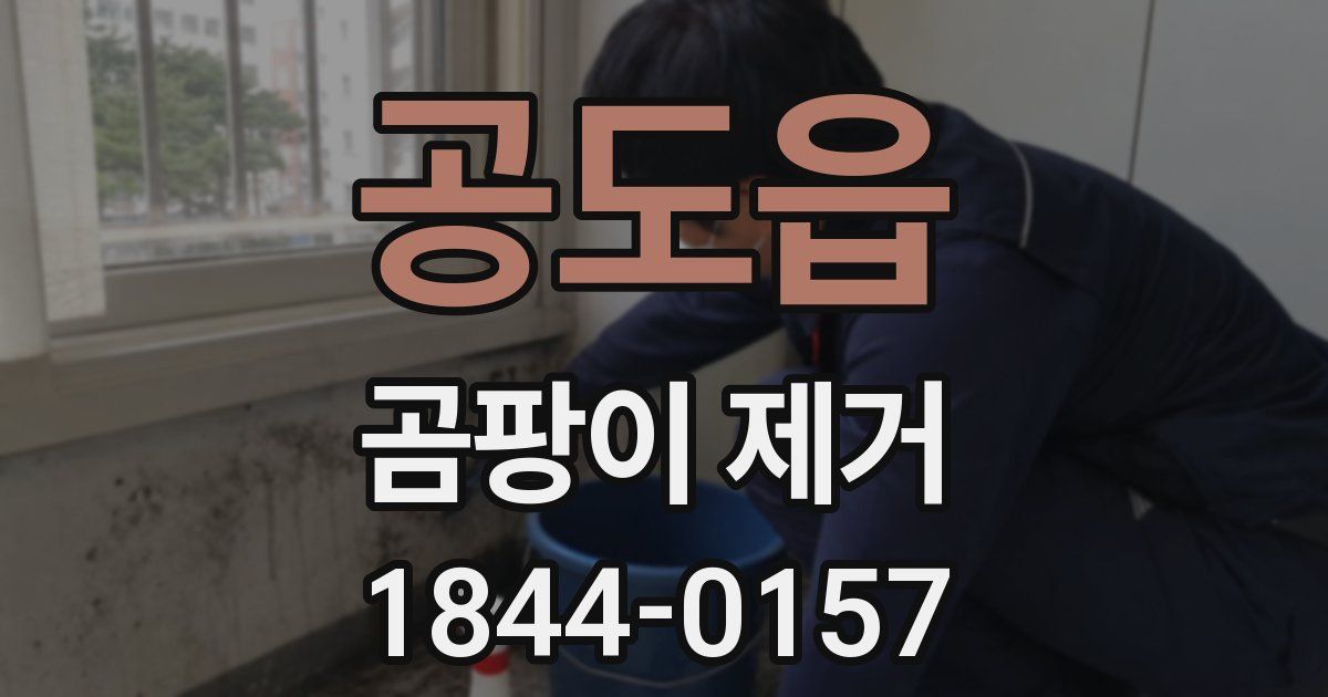 공도읍 곰팡이 제거