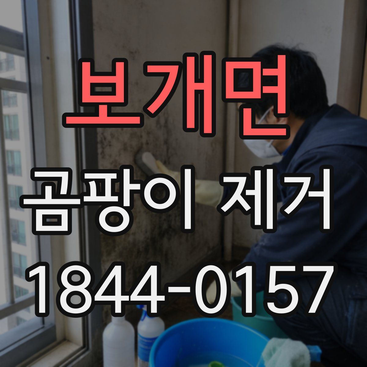 보개면 곰팡이 제거