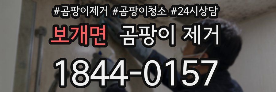 보개면 곰팡이 제거