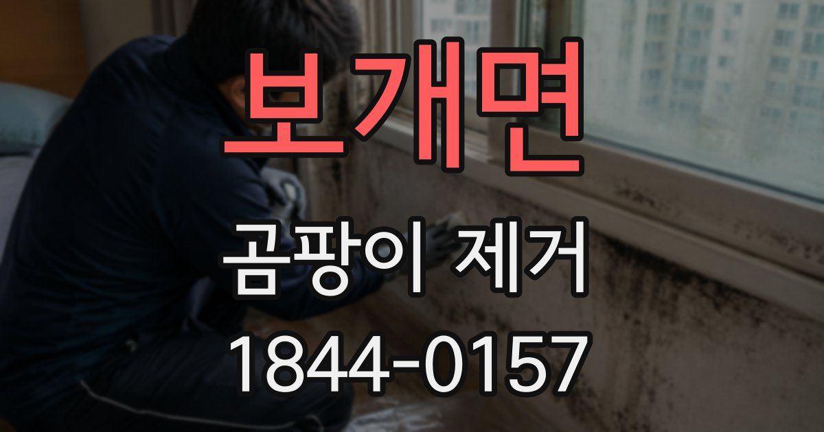 보개면 곰팡이 제거